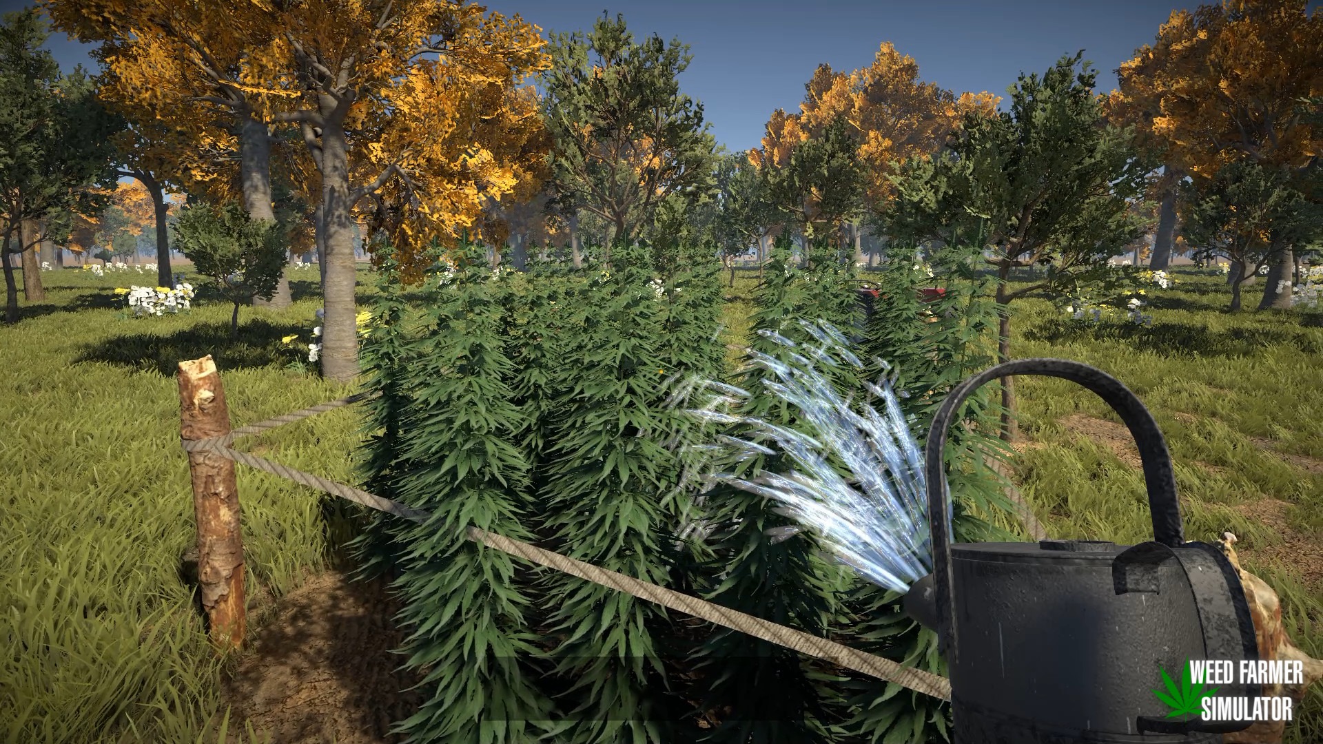 大麻農家シム『Weed Farmer Simulator』が2月28日に配信開始。一人称視点で体験できるリアルな大麻農家の姿_001