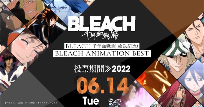 Bleach アニメ版のセレクション放送が7月スタート 6月14日まで投票受付中