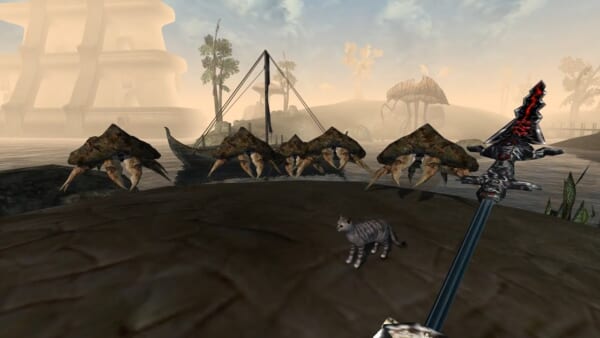 電撃を放つネコが一緒に闘ってくれる『TES3 Morrowind』のmod「Stripes the Cat」が公開_001