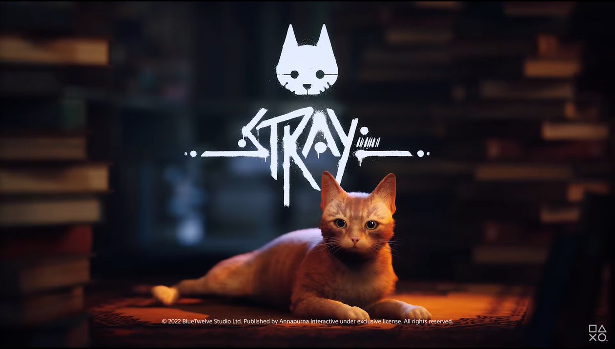 猫 」となりサイバーパンクの都市を探索する『Stray』7月19日に発売決定。人造人間やミュータントが住む近未来風の街で、小型ドローンの友だちとともに奇妙な旅へ