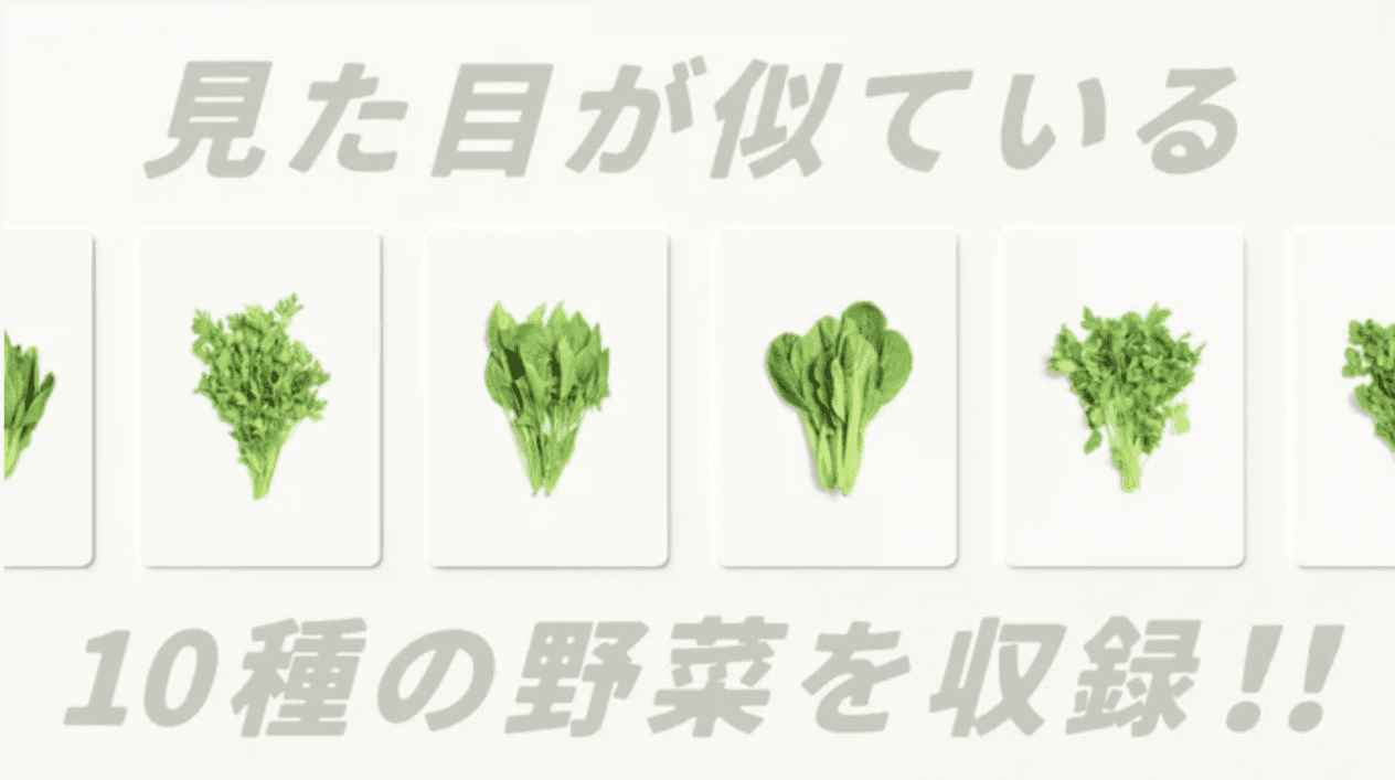 葉物野菜を題材にした神経衰弱アナログゲーム『マジで草』発売決定_003