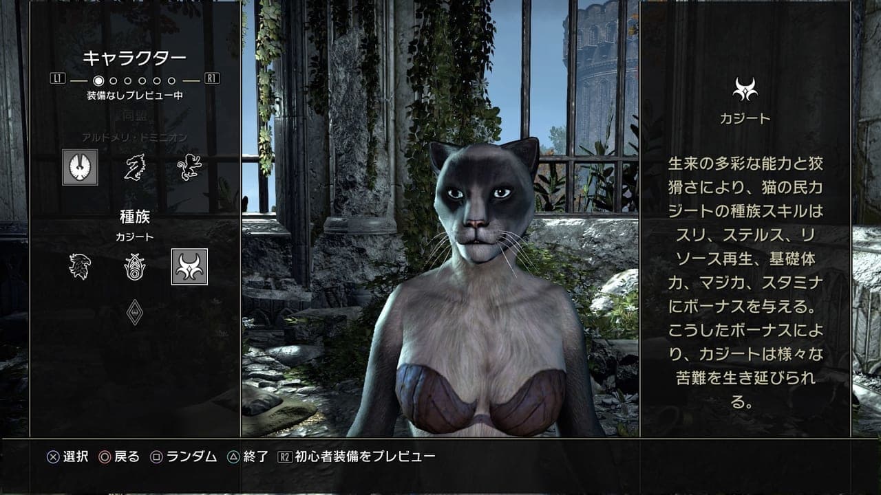 『The Elder Scrolls Online』日本語PS5/Xbox版レビュー:序盤の攻略情報も_040