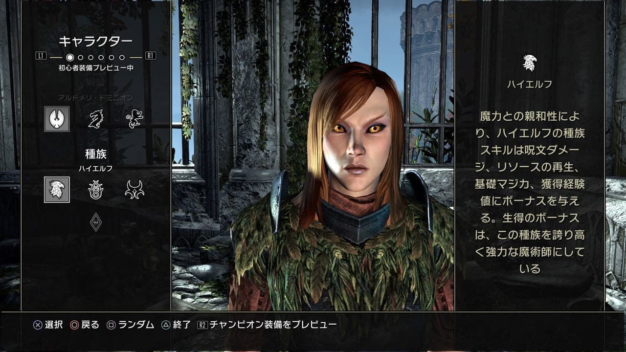 『The Elder Scrolls Online』日本語PS5/Xbox版レビュー:序盤の攻略情報も_036
