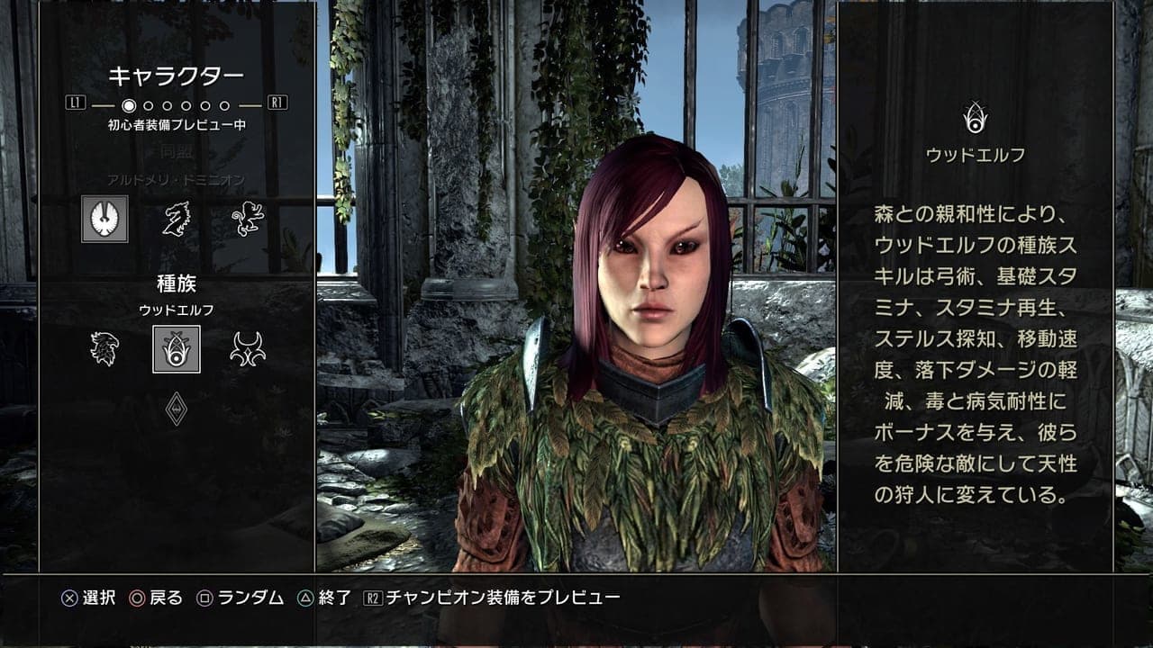 『The Elder Scrolls Online』日本語PS5/Xbox版レビュー:序盤の攻略情報も_038