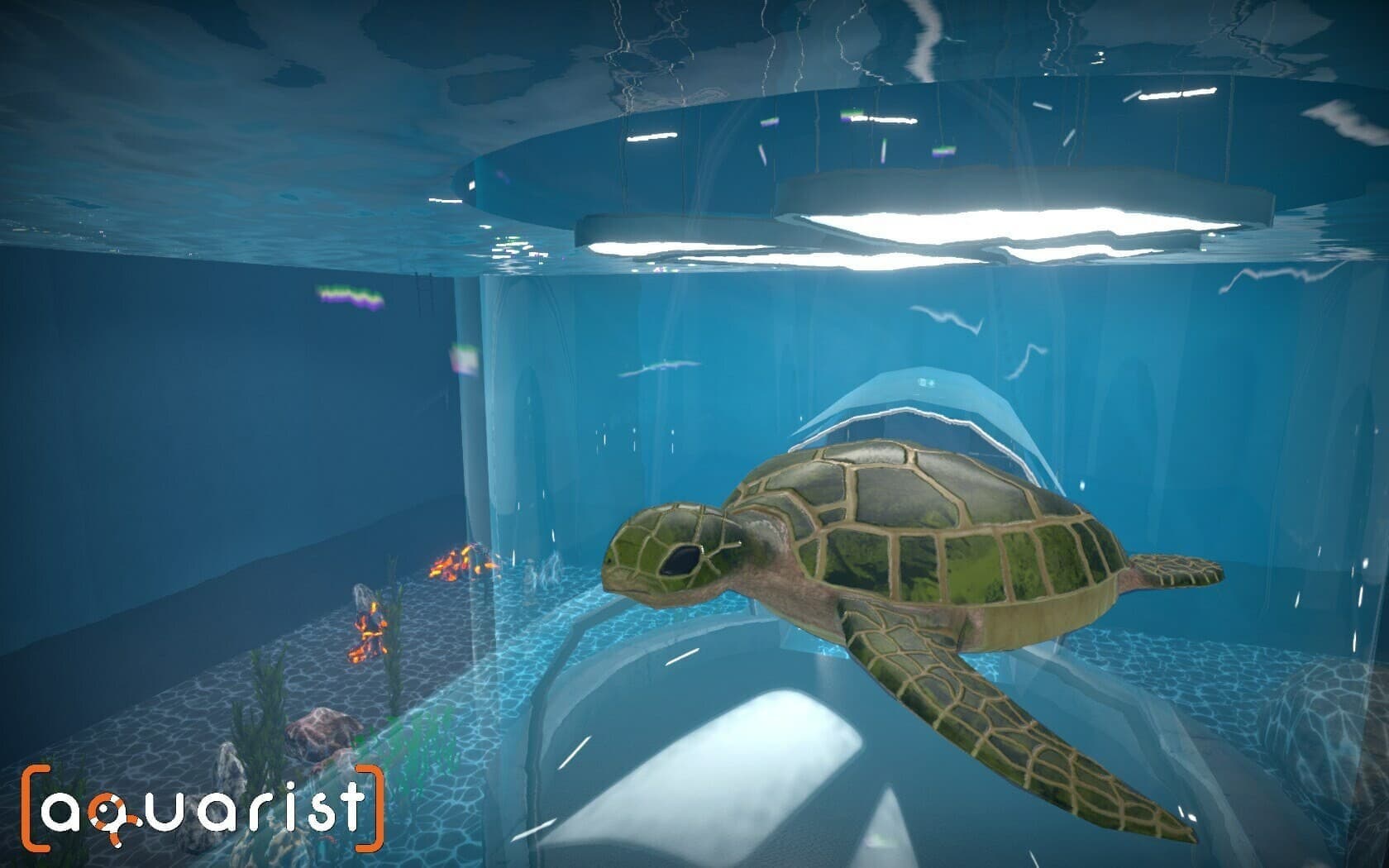 『Aquarist』が正式リリース。アクアリウムショップの経営者になれるシミュレーションゲーム_001