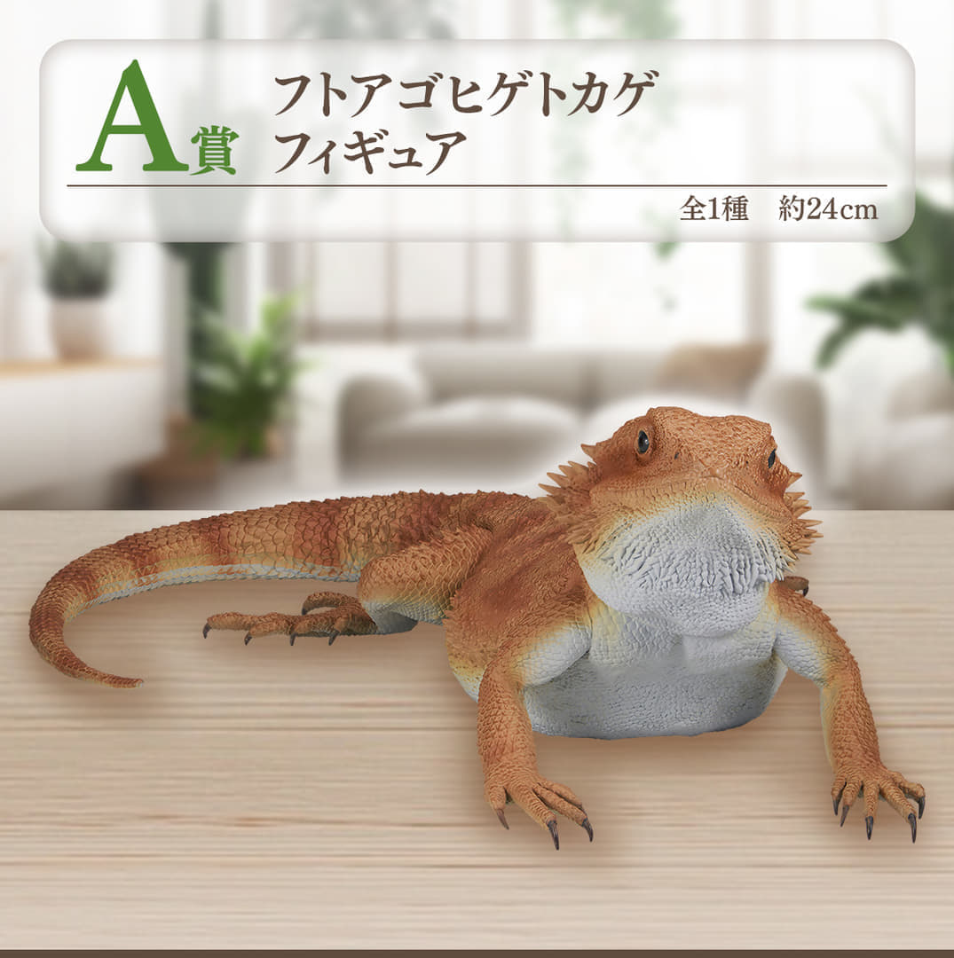 「一番くじ 爬虫類＆両生類～Tiny Friends～」7月27日より発売決定_001