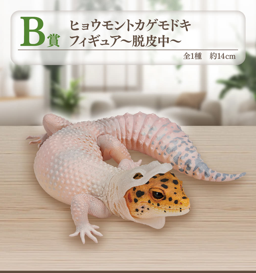 「一番くじ 爬虫類＆両生類～Tiny Friends～」7月27日より発売決定_003