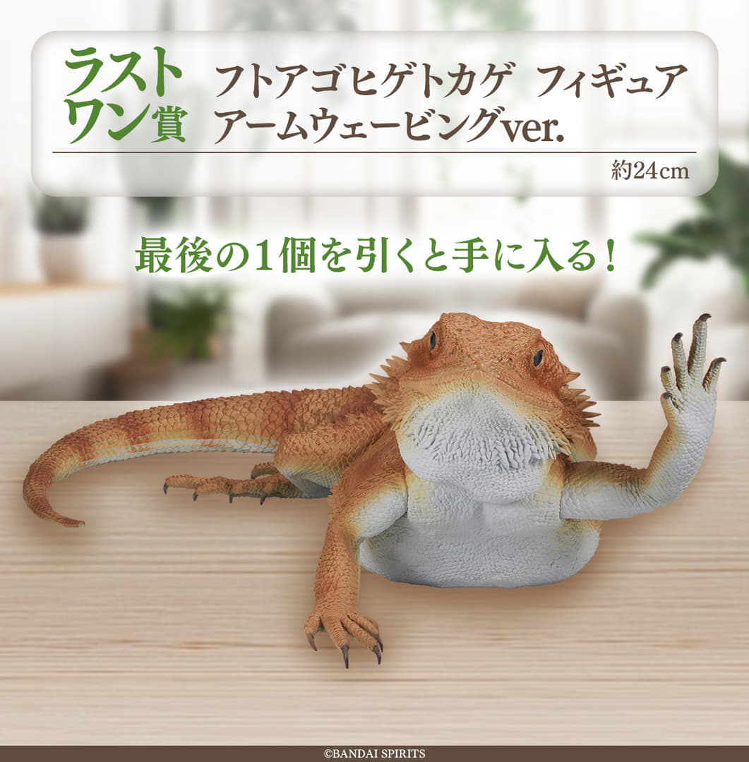 「一番くじ 爬虫類＆両生類～Tiny Friends～」7月27日より発売決定_002