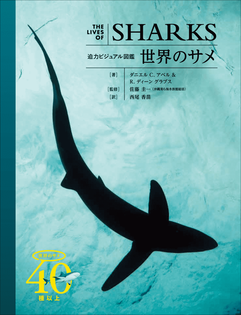迫力の写真とイラストで40種類を超えるサメを紹介する『迫力ビジュアル図鑑 世界のサメ』が今年8月に発売_005