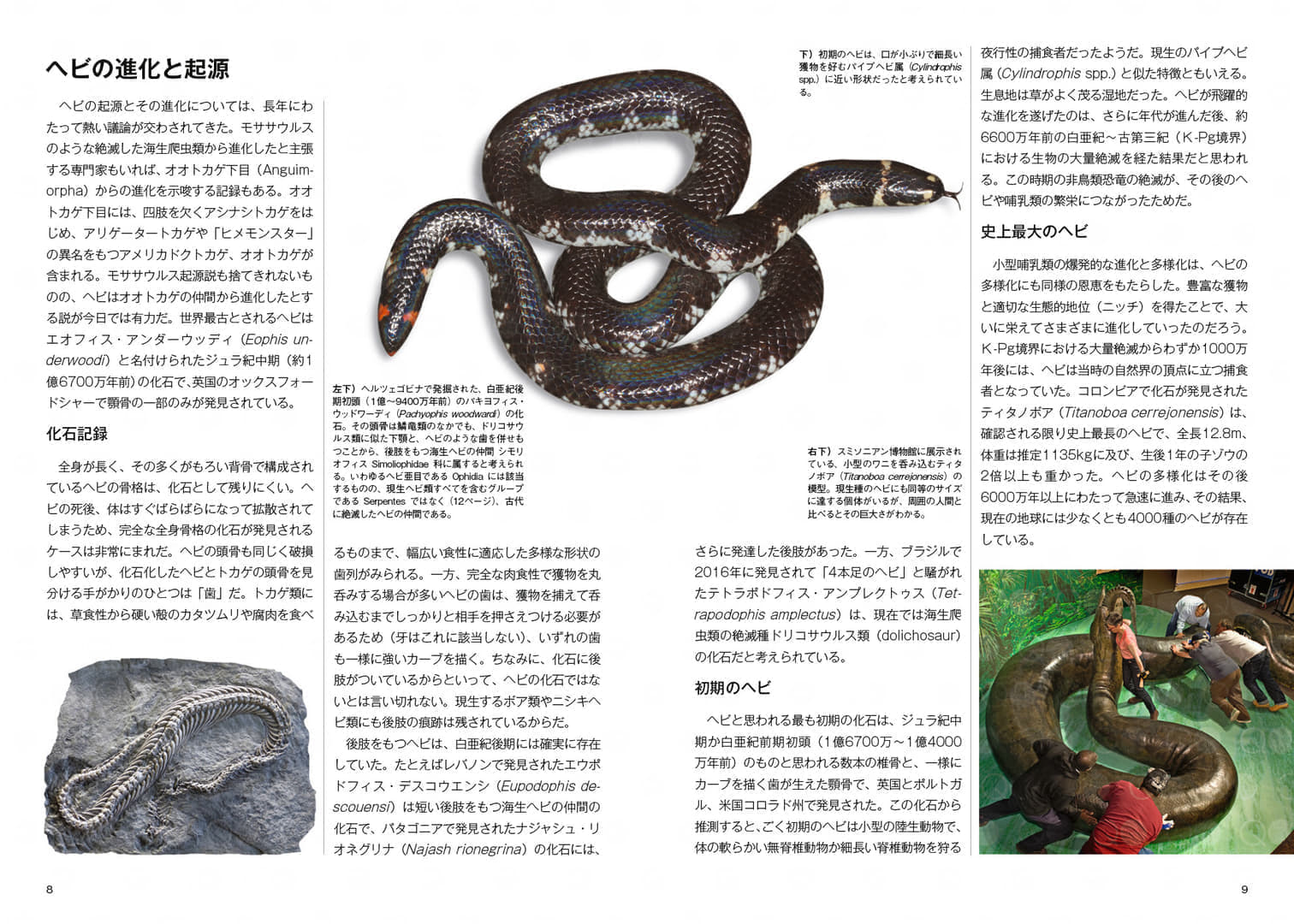 「ヘビ大全 SNAKES OF THE WORLD」が発売。世界に約4000種といわれるヘビを徹底解説した書籍_001