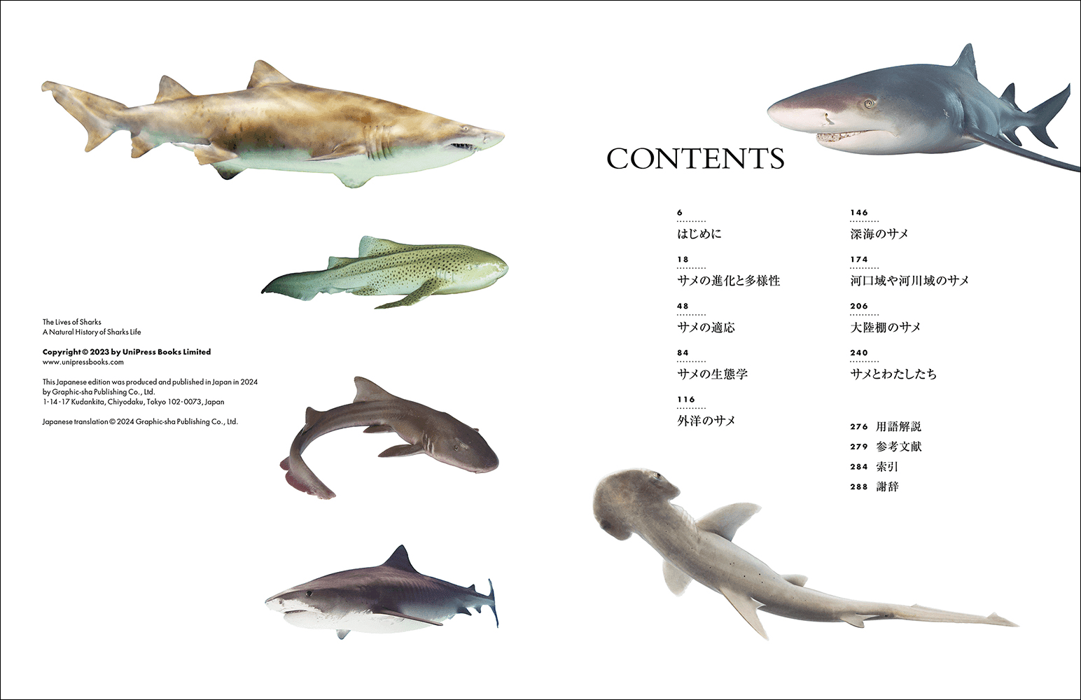 迫力の写真とイラストで40種類を超えるサメを紹介する『迫力ビジュアル図鑑 世界のサメ』が今年8月に発売_001